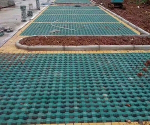 上海上饶植草砖